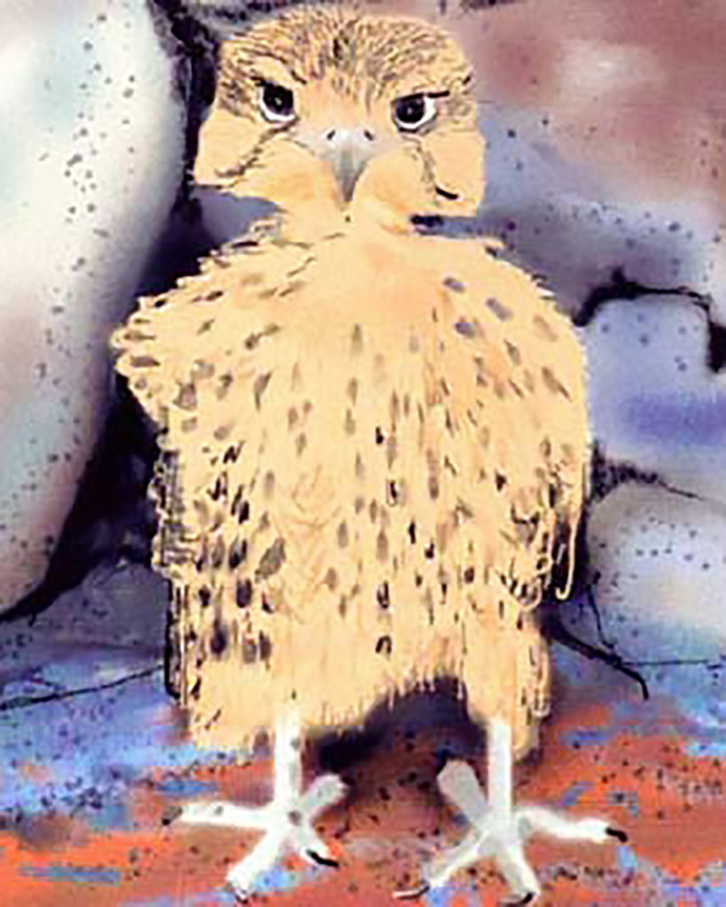 birdlarge