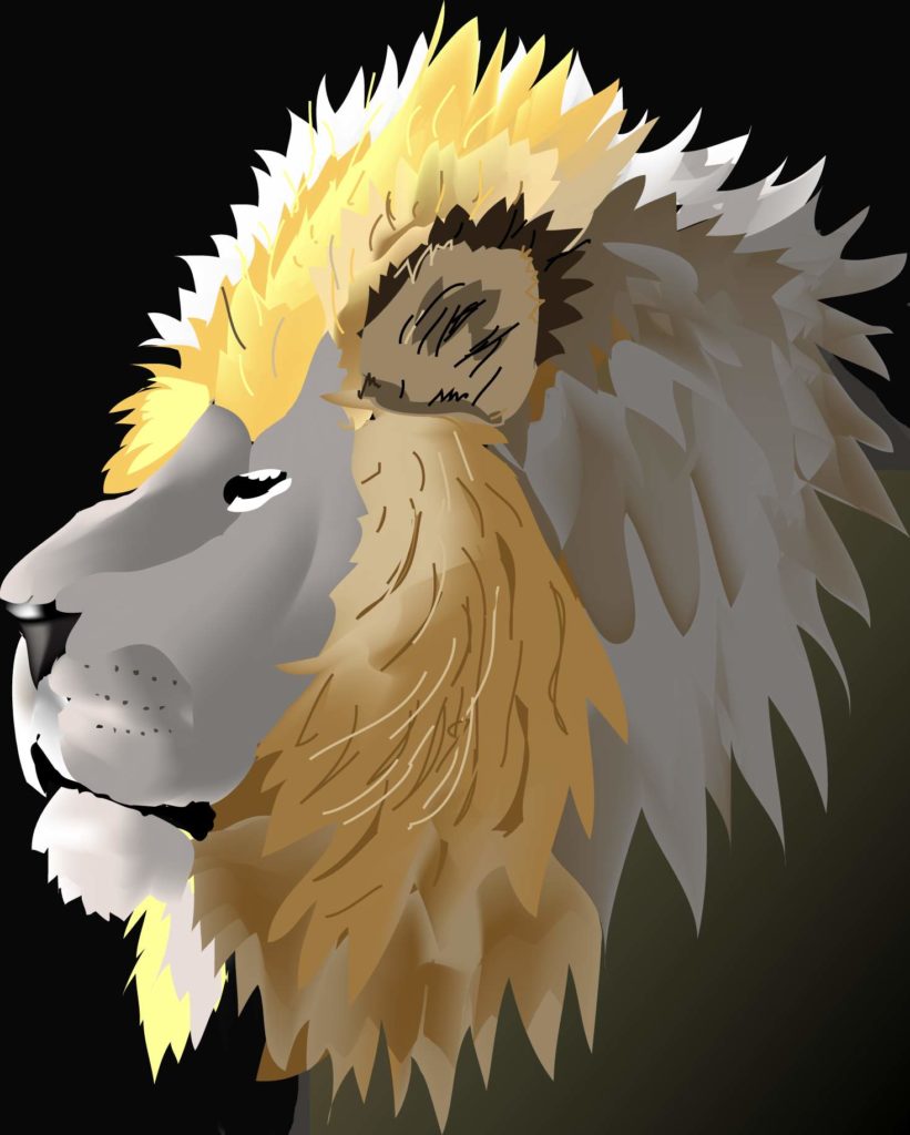 lion
