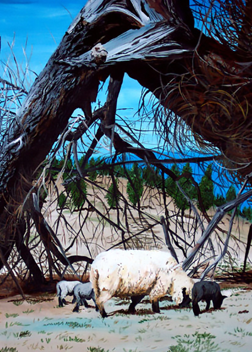 sheep